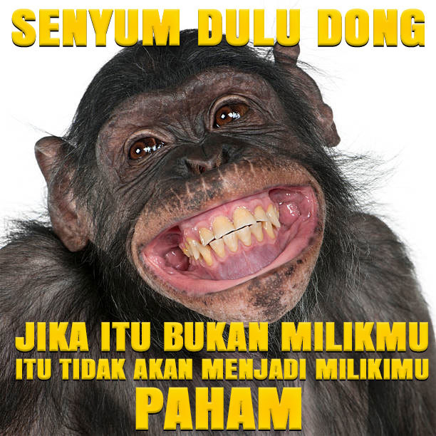 SLOT777: Daftar Situs Slot 777 Gacor Terbaru & Login Slot777 Server Thailand Gampang Menang Maxwin Hari ini