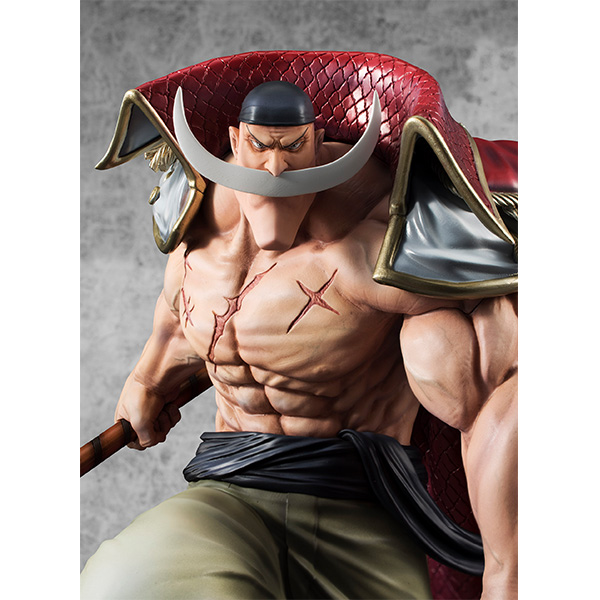 ONE PIECE : Megahouse Portrait of Pirates - Page 5 9dTjrNWG_o