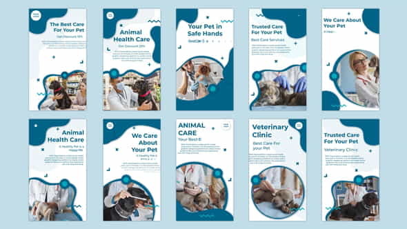 Animal Health Care Instagram story - VideoHive 32796963