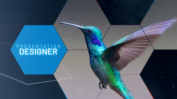 Presentation Designer - VideoHive 38034953
