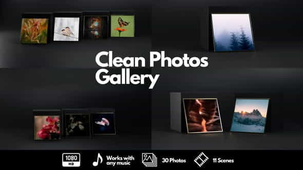 Clean Photos Gallery | 3D, Object - VideoHive 30077883