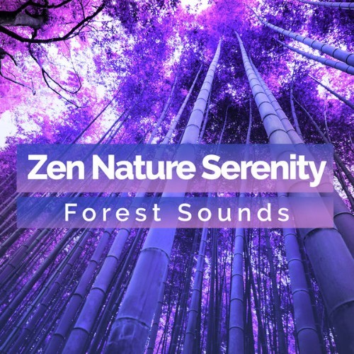 Forest Sounds - Zen Nature Serenity - 2019