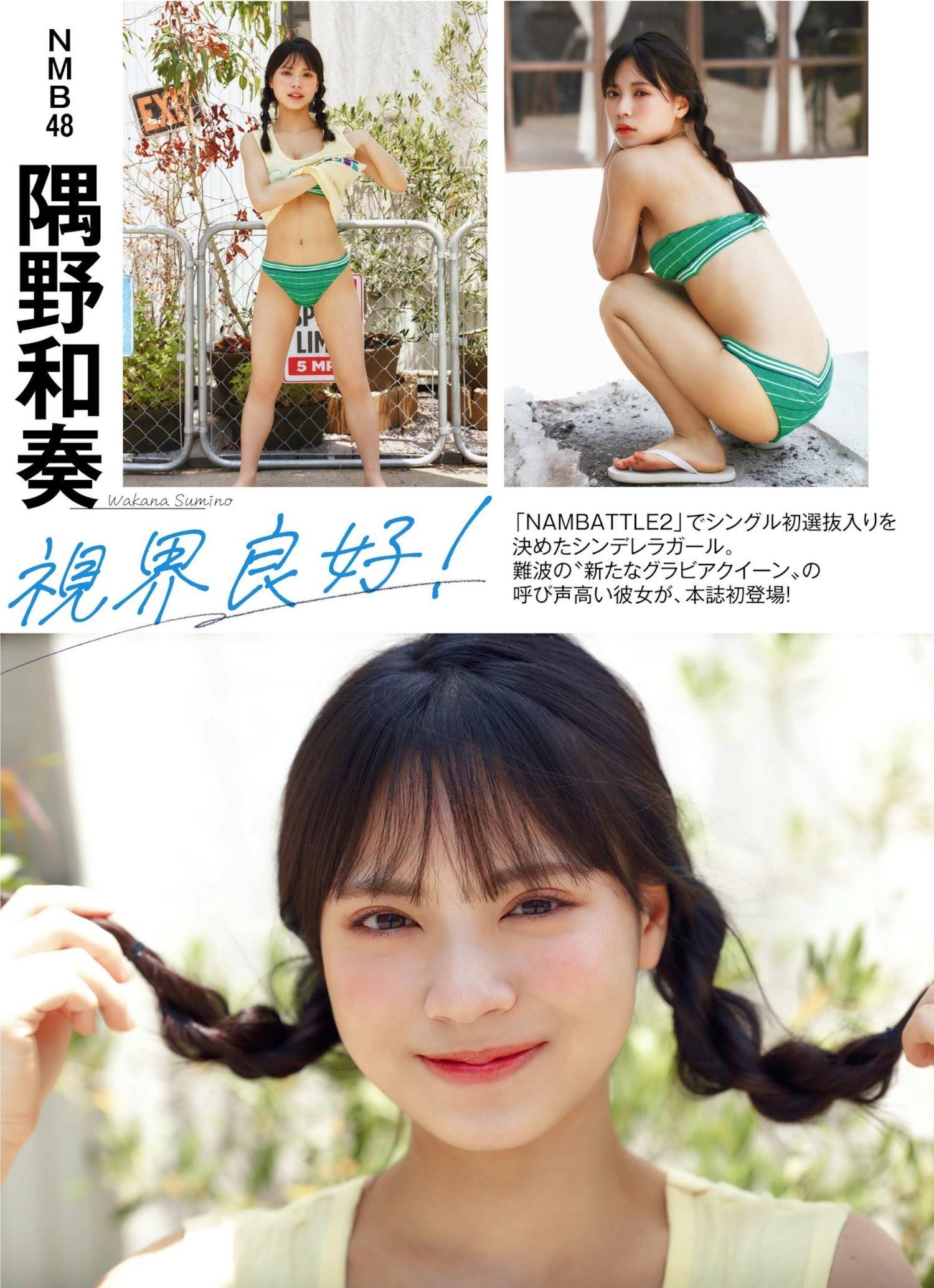 Wakana Sumino 隅野和奏, PLATINUM FLASH 2022 VOL.19(1)