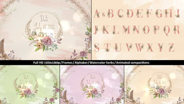 Wedding Invitation Pack - VideoHive 36421493