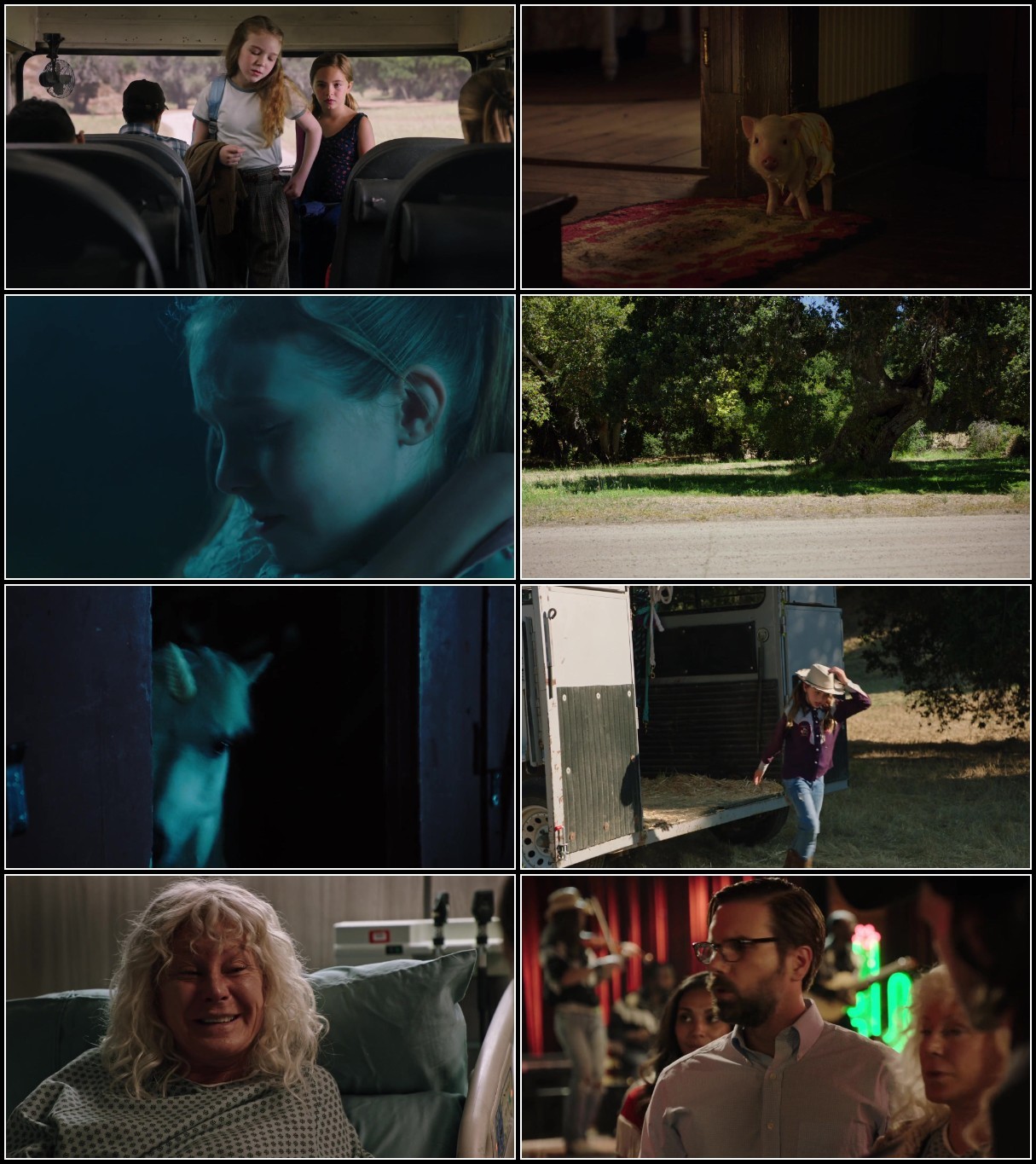 Wish Upon A Unicorn (2020) 1080p [WEBRip] 5.1 YTS MgSpwWLP_o