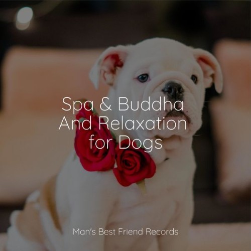 Sleep Music For Dogs - Spa & Buddha And Relaxation for Dogs - 2022