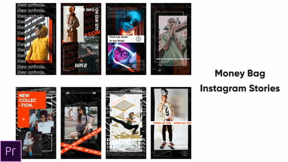Money Bag - Instagram Stories - VideoHive 26648886