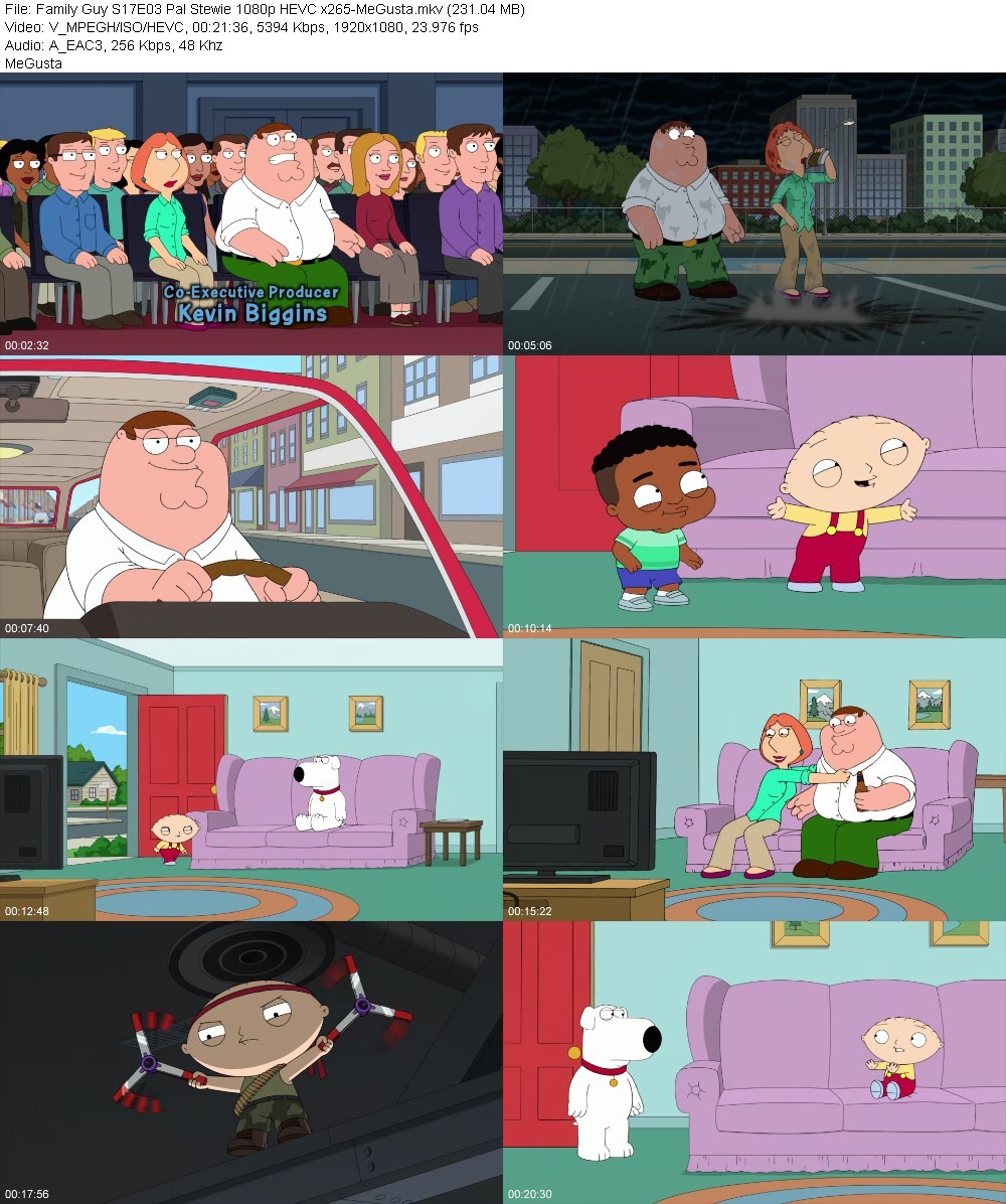 Family Guy S17E03 Pal Stewie 1080p HEVC x265-MeGusta