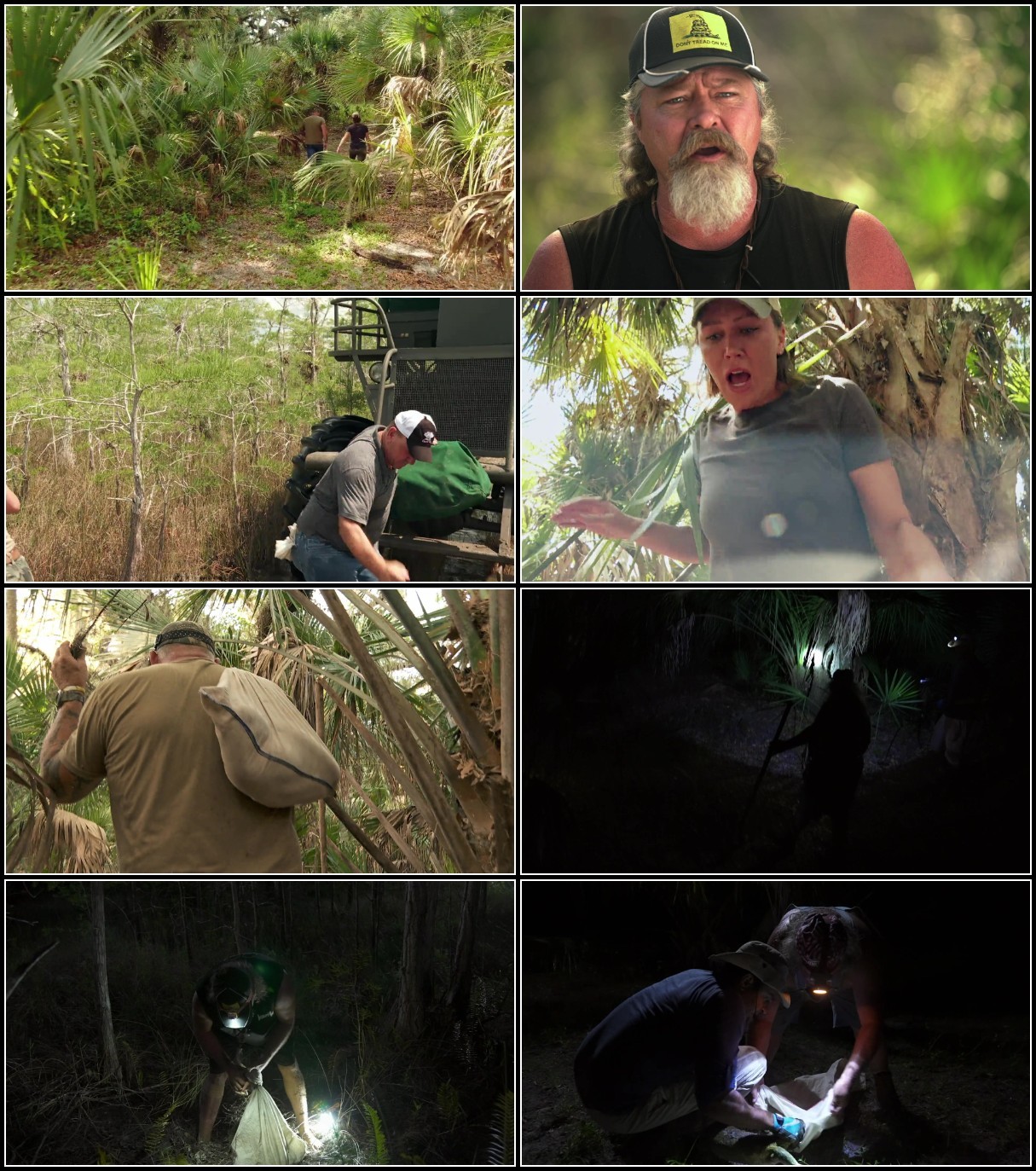 Swamp People Serpent Invasion S03E11 1080p WEB h264-KOGi Swamp People Serpent Invasion S03E11 1080p WEB h264-KOGi