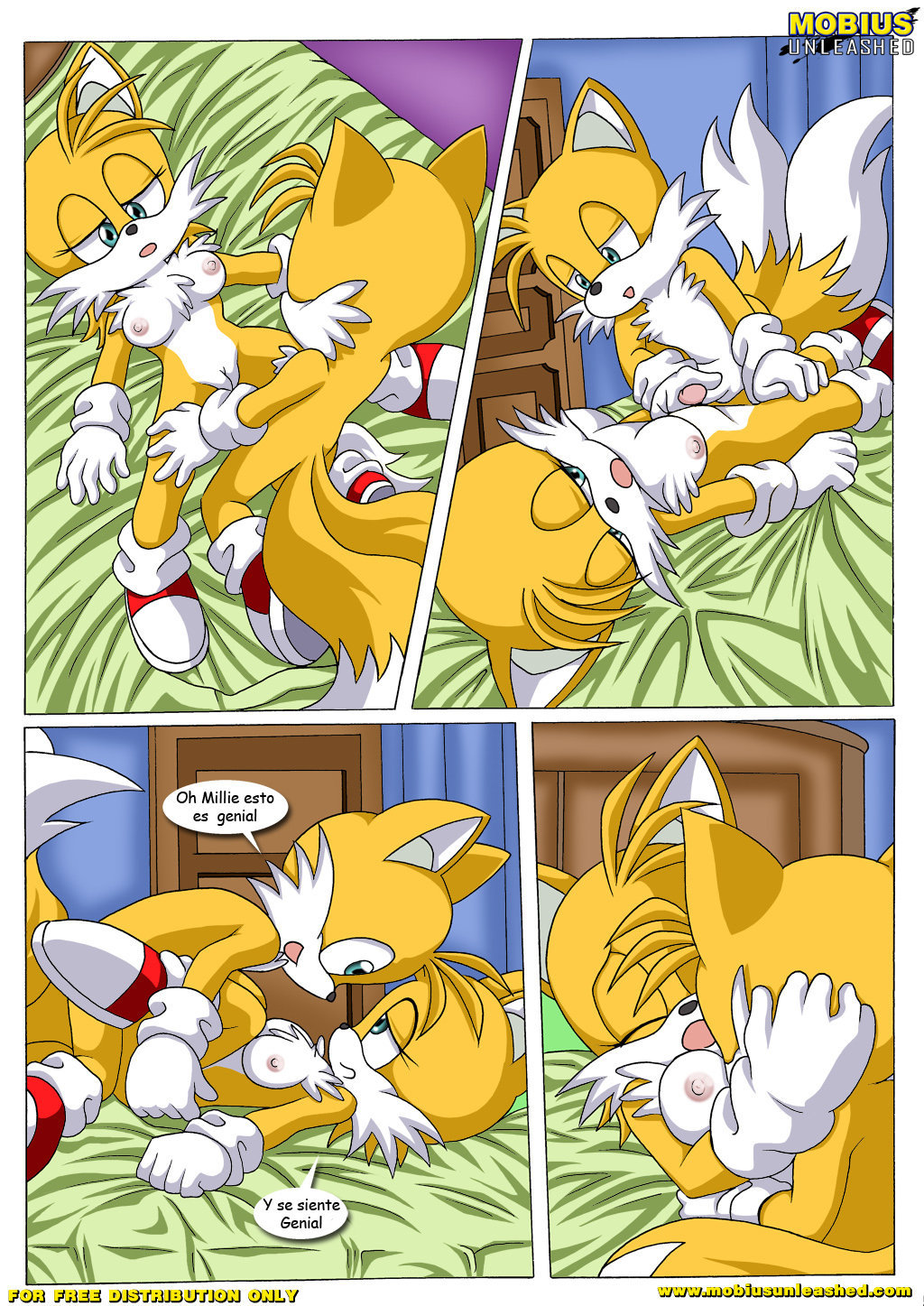 Tails Study - 11