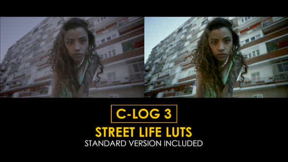 Clog3 Street Life And Standard Color Luts - VideoHive 51303092
