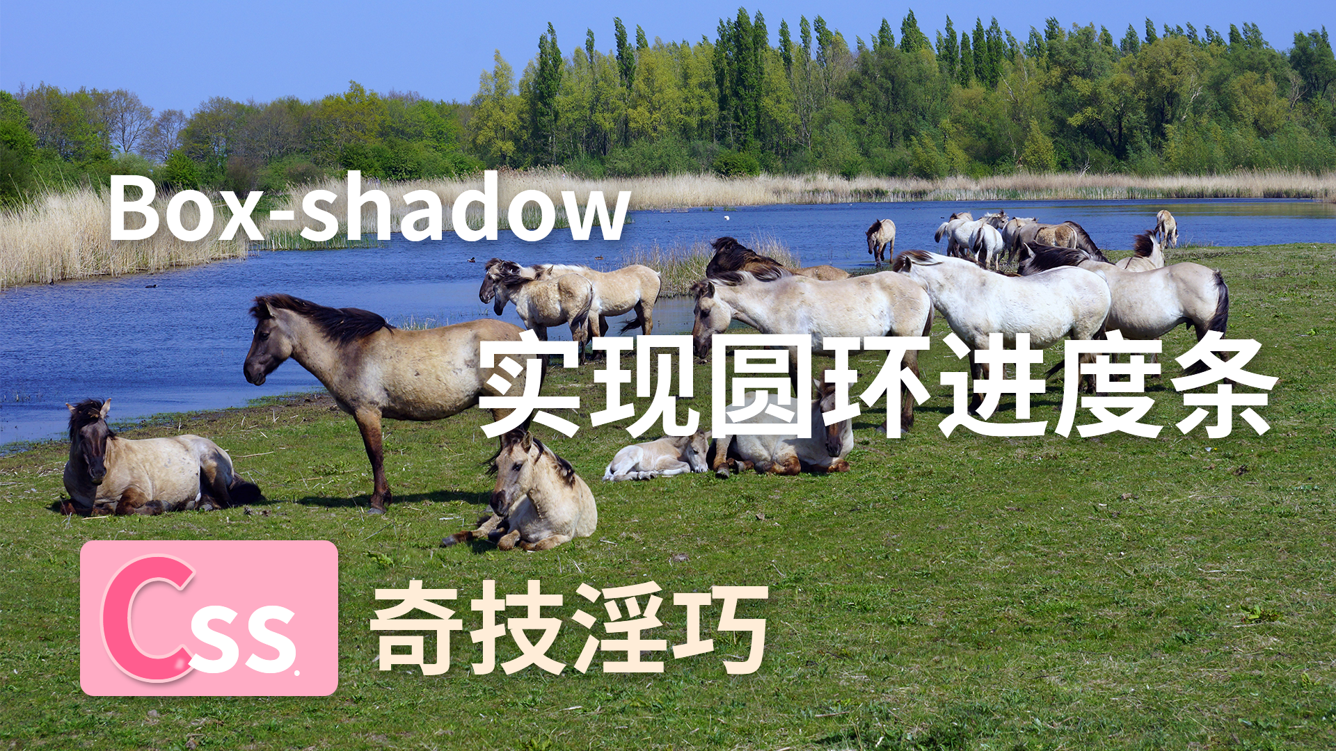 CSS 奇技淫巧Box-shadow实现圆环进度条.png