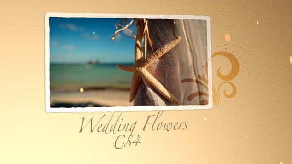 Wedding Flowers CS4 - VideoHive 309125