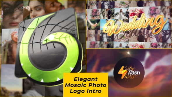 Elegant Mosaic Photo Logo Intro - VideoHive 28509525