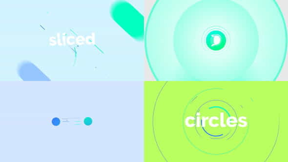 Circle Slice Logo Reveal - VideoHive 28450013