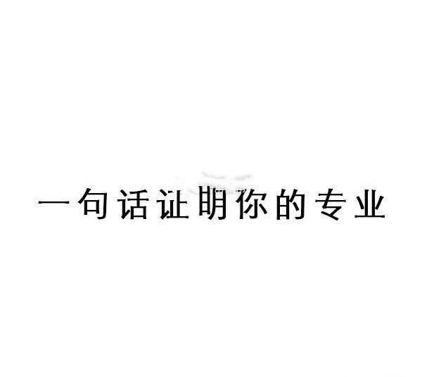当程序员被问到如何形容你的专业时，他的回答亮了！摸摸头