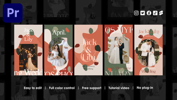 Marriage Instagram Stories - VideoHive 48542677