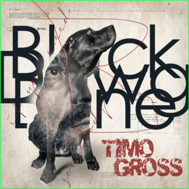 Timo Gross Black Dawg (2024) WEB [FLAC] 16BITS 44 1KHZ 2vZb7Ja1_o