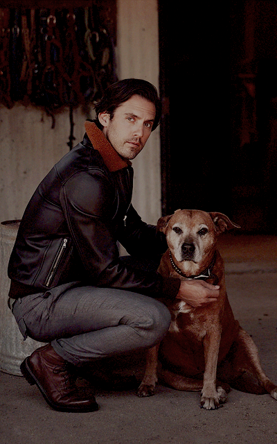 Milo Ventimiglia A4I1Cwi9_o