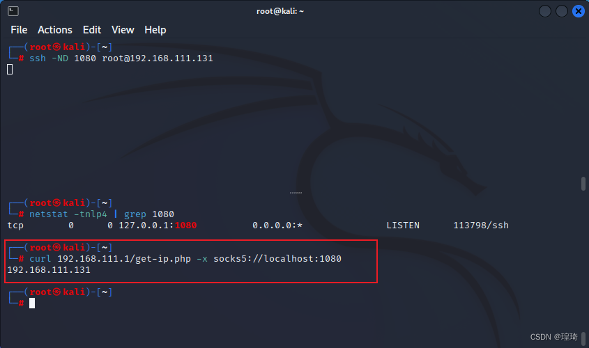 kali-dynamic-get-ip