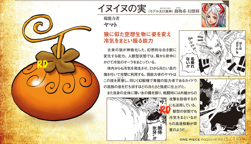 Kaido's Devil Fruit Explained!!! Uo Uo No Mi: Seiryuu