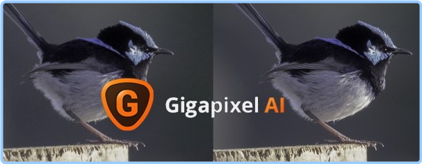 Topaz Gigapixel AI 7.2.1 X64 EXnnYMws_o