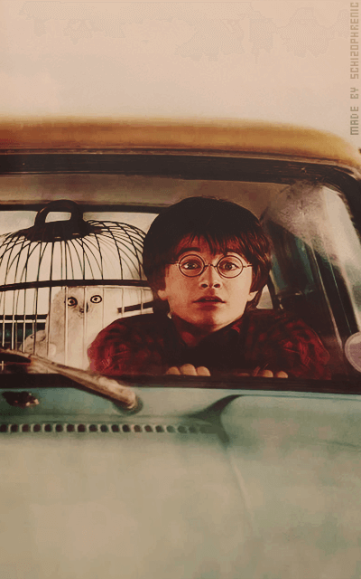 Harry Potter KLleqlCH_o