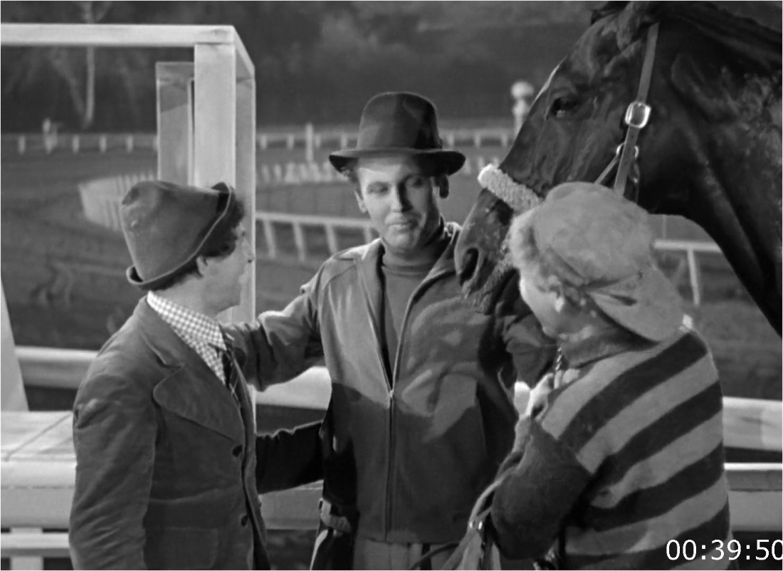 A Day At The Races (1937) [1080p] BluRay (x264) QbpkHks9_o