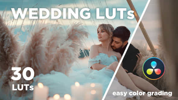 30 WEDDING LUTs - VideoHive 48474820