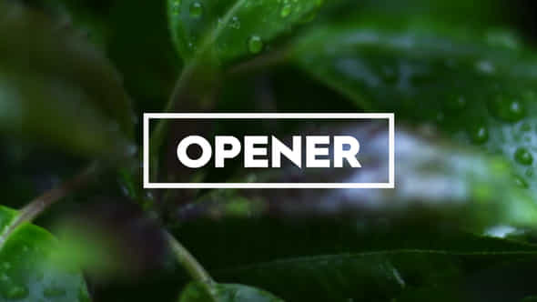 Fast Opener - VideoHive 20888644