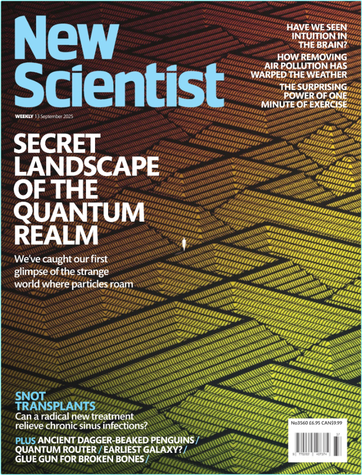 New Scientist International Edition 13 September 2025 True PDF
