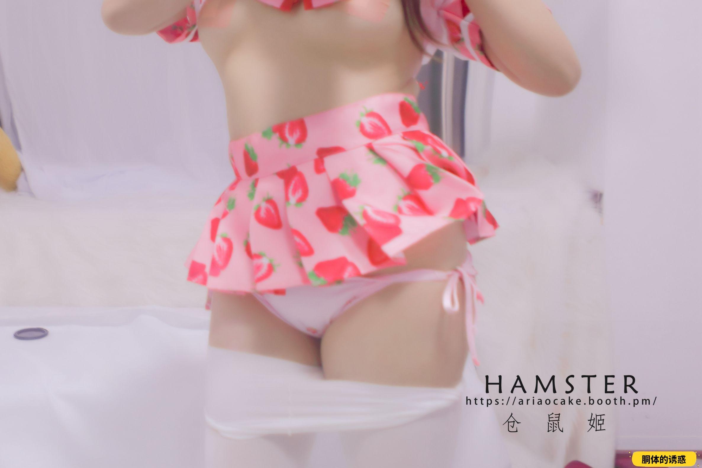 HAMSTERS 仓鼠姬 - NO.005 VOL.02 居家女友2 [34P-38MB]