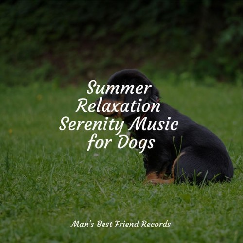 Music For Dogs Peace - Summer Relaxation Serenity Music for Dogs - 2022