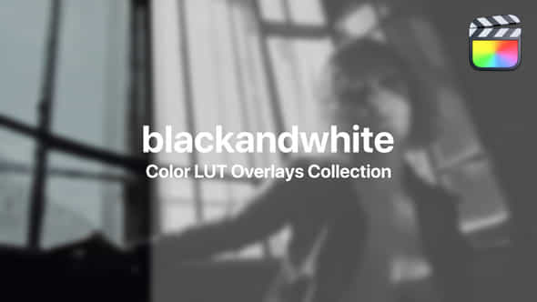 BlackWhite Color Presets - VideoHive 48017248
