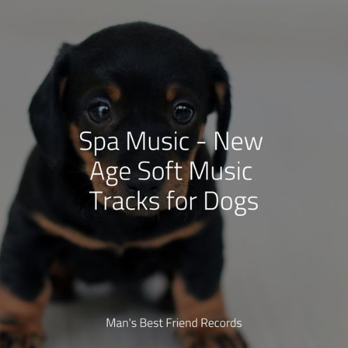 Dog Music - Spa Music - New Age Soft Music Tracks for Dogs - 2022
