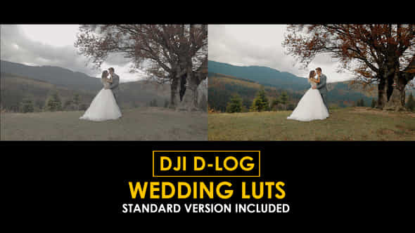 Dji Dlog Wedding Luts - VideoHive 50807784