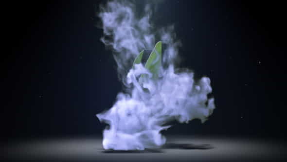 Smoke Logo Reveal - VideoHive 7556477