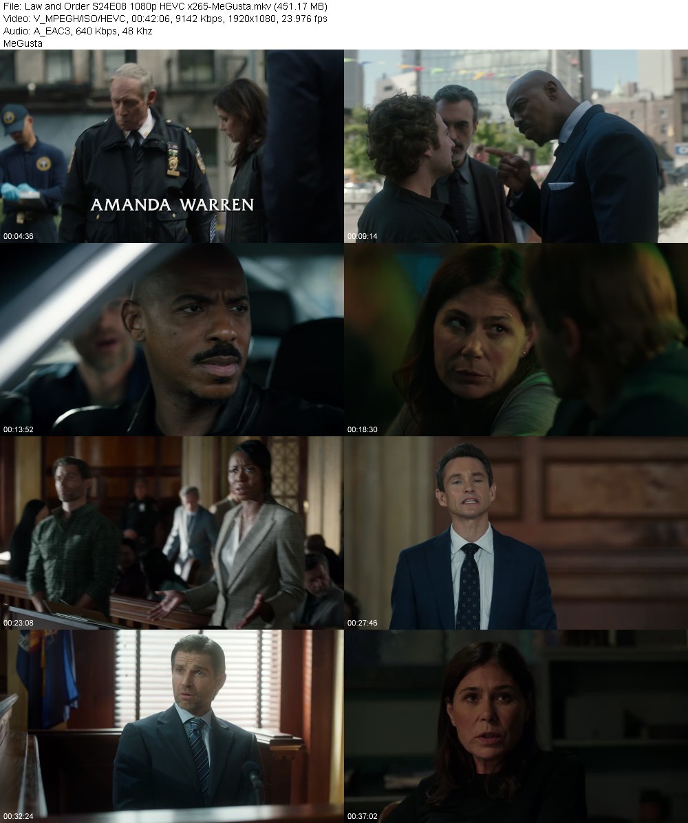 Law and Order S24E08 1080p HEVC x265-MeGusta