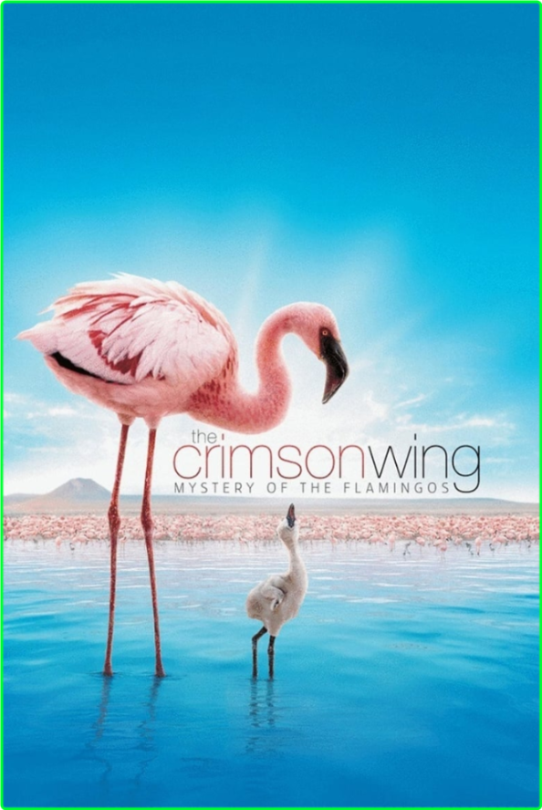 The Crimson Wing Mystery Of The Flamingos (2008) [1080p] BluRay (x264) [6 CH] WbVXHgM2_o