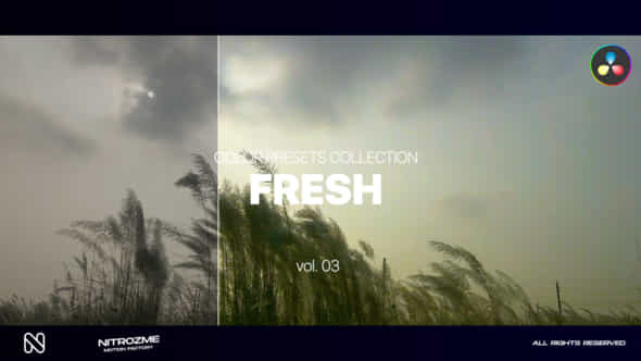 Fresh LUT Collection - VideoHive 48141082