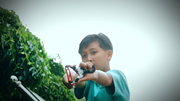 https//images2.imgbox.com/9f/83/PreWdHxU_o.png