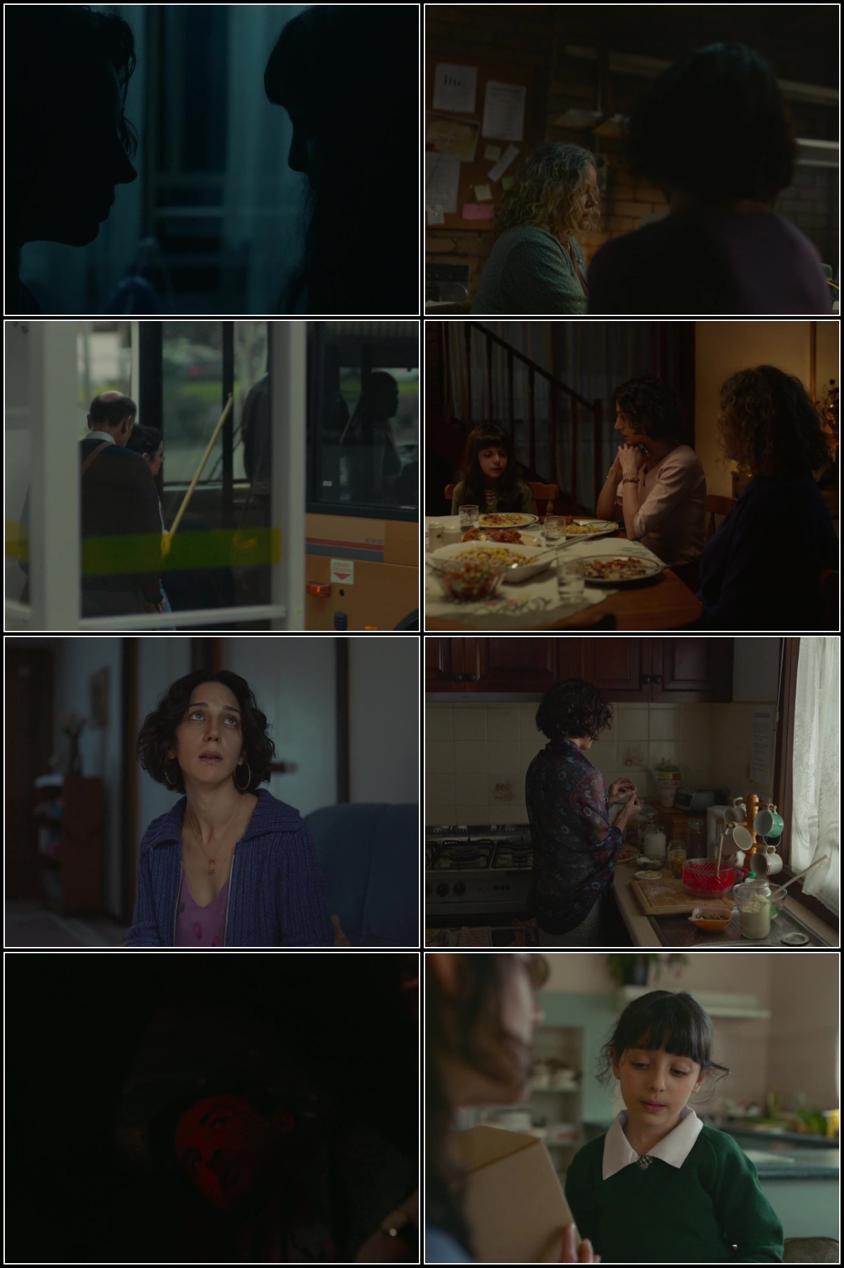 Shayda (2023) 720p WEBRip x264 AAC-YTS VrRJYCJP_o