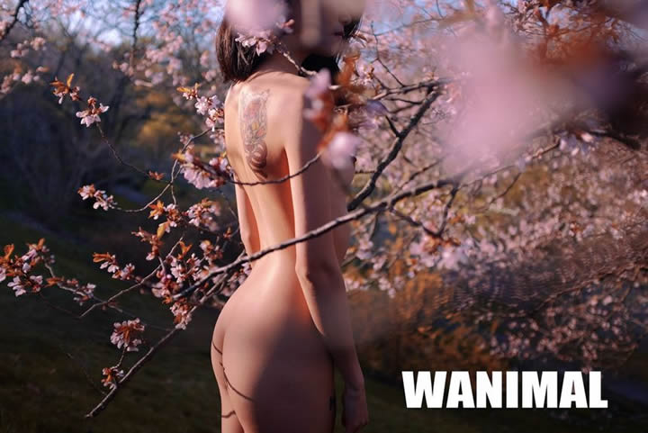 Wang Dong Wanimal produced no holy light human body set 3 10