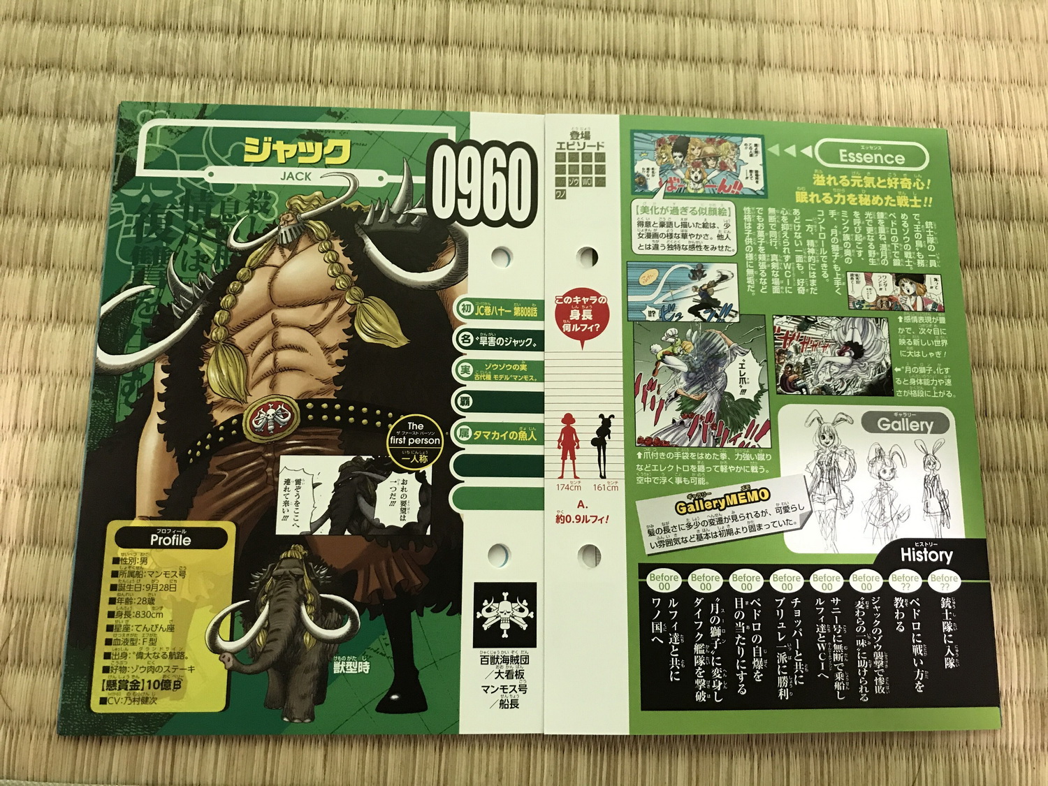 Vivre Card One Piece Visual Dictionary New One Piece Databook On Sale 4th September Page 88