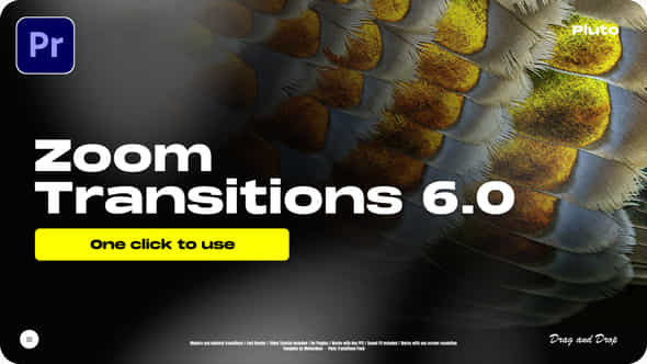 Zoom Transitions 6 - VideoHive 46061342