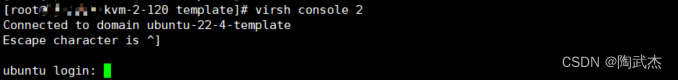 virsh console 验证