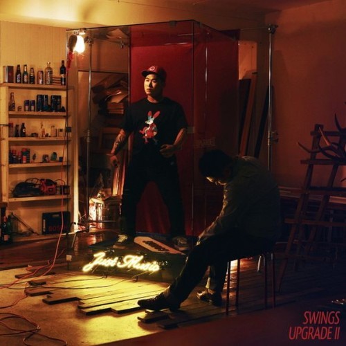 Swings - Upgrade II - 2011