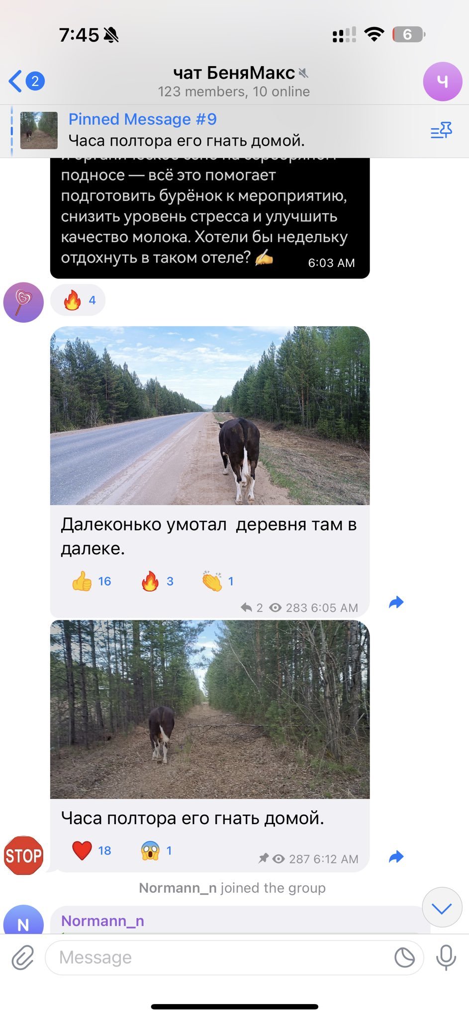 MUR5Ta6j_o.jpeg