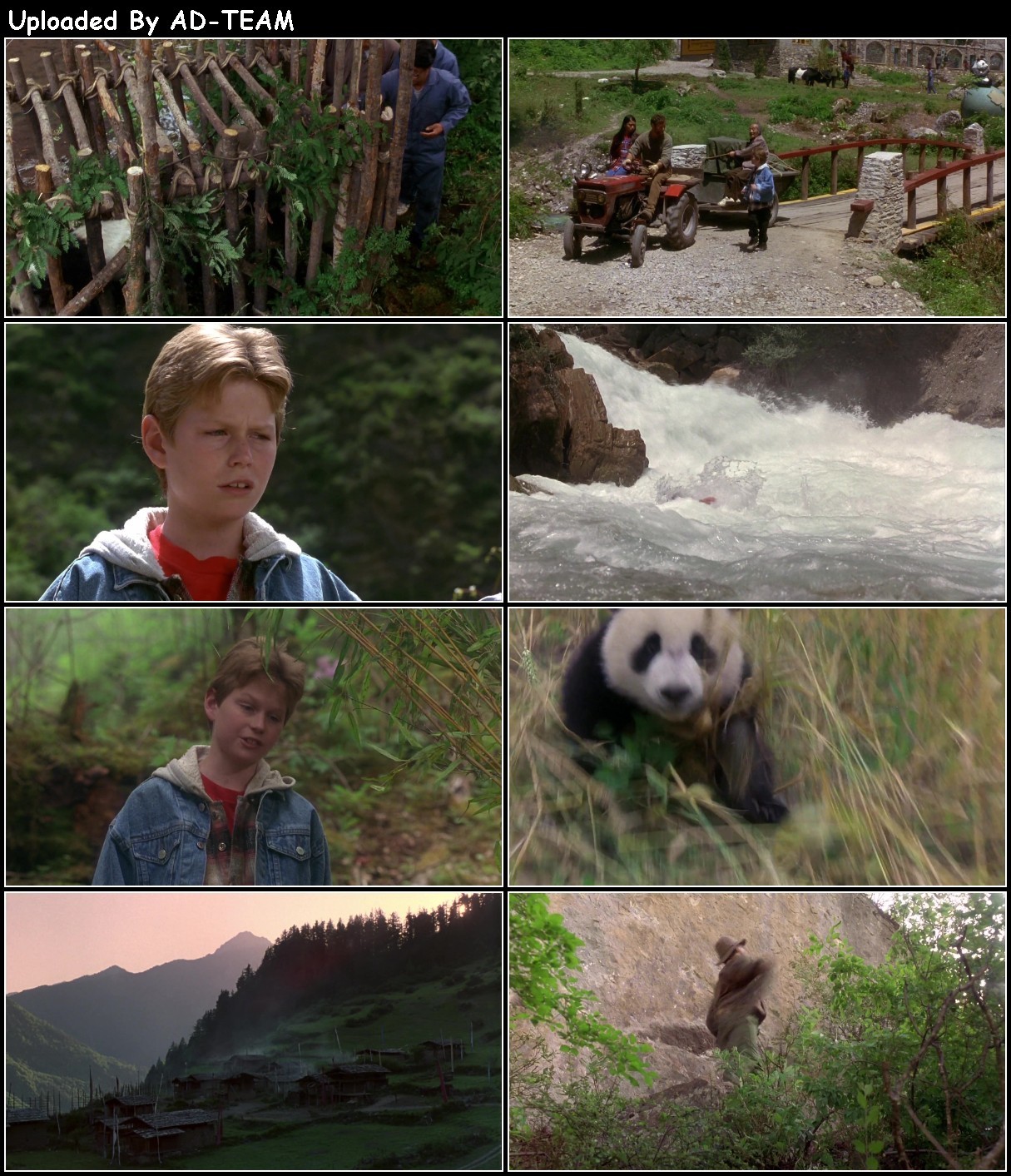The Amazing Panda Adventure 1995 1080p WEBRip x264-RARBG MdDcTuHH_o
