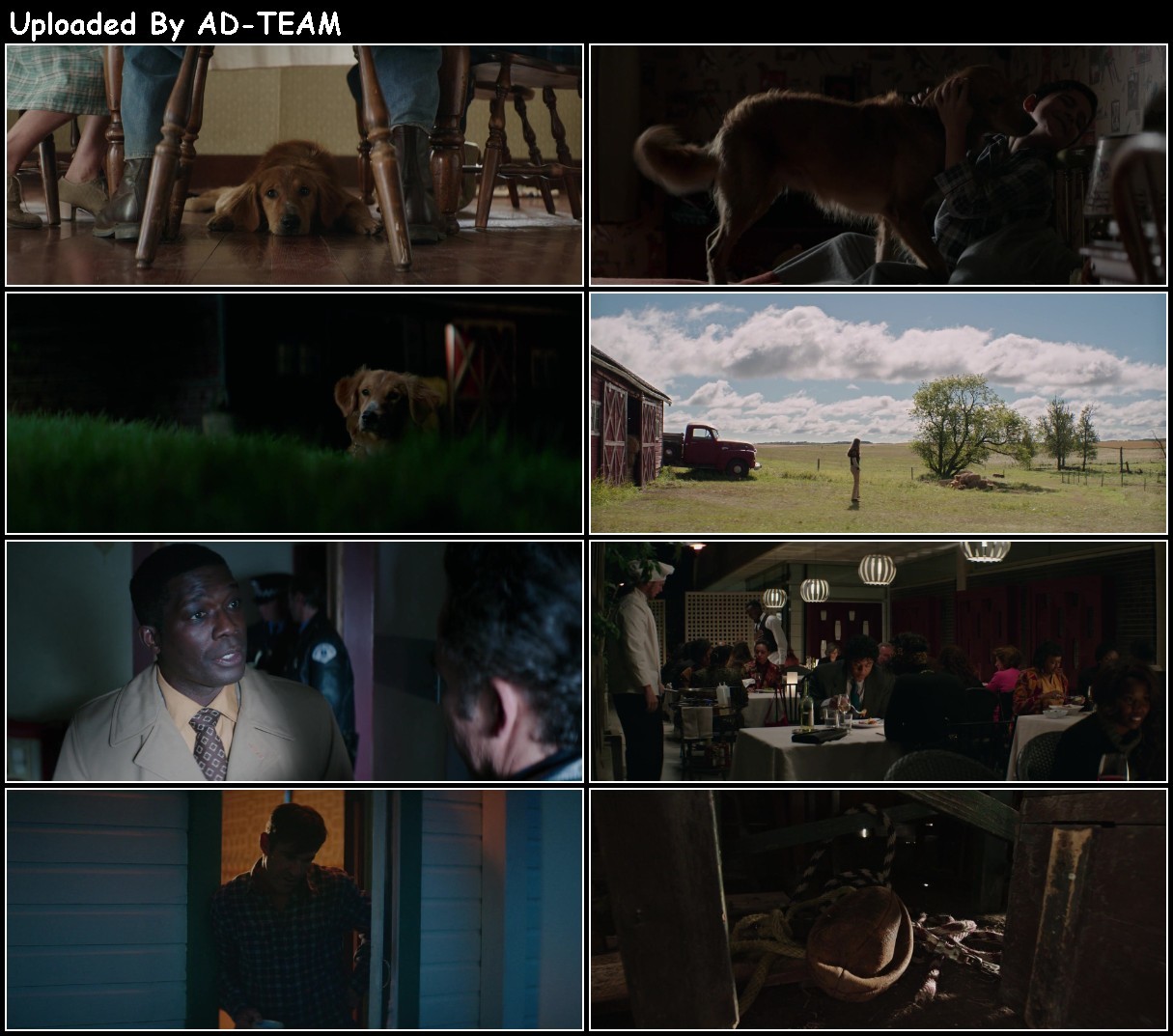 A Dogs Purpose 2017 1080p BluRay H264 AAC-RARBG RFBBRXFh_o